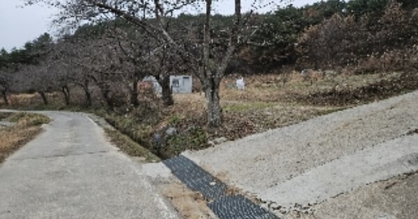 전라남도 보성군 문덕면 용암리 OOO 답 경매 물건 이미지