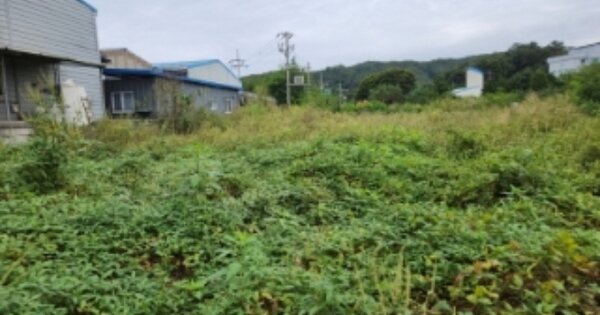 경기도 양주시 남면 한산리 OOOOO O OOO 공장용지 경매 물건 이미지