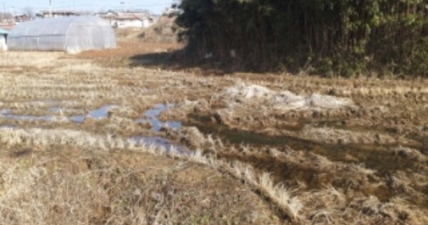 충청남도 당진시 송악읍 복운리 OOO O OOO 전 경매 물건 이미지