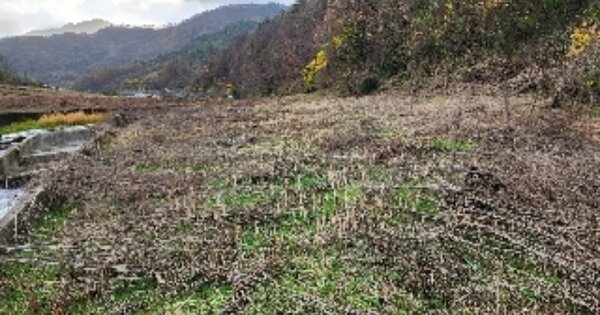 충청북도 제천시 수산면 대전리 OOO 전 경매 물건 이미지