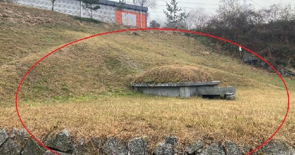 충청북도 제천시 금성면 월림리 OOOOO O OOO 임야 경매 물건 이미지