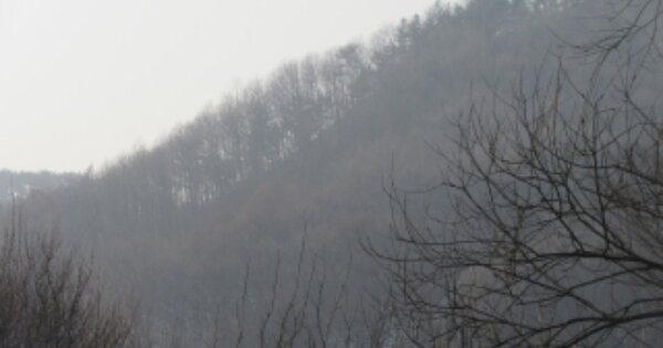 충청북도 괴산군 청천면 거봉리 OOOOO 임야 경매 물건 이미지