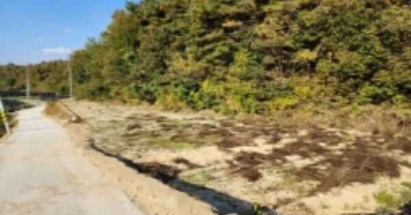 충청남도 금산군 부리면 현내리 OOO 답 경매 물건 이미지