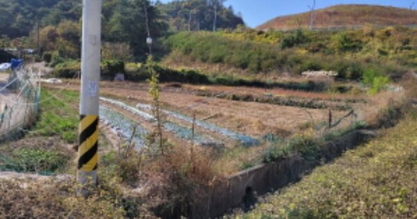 울산광역시 울주군 청량읍 문죽리 OOO 답 경매 물건 이미지
