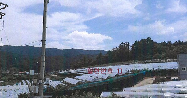 경상북도 영덕군 지품면 지품리 OO 전 경매 물건 이미지