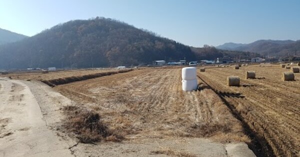 대구광역시 군위군 소보면 평호리 OOO 답 경매 물건 이미지