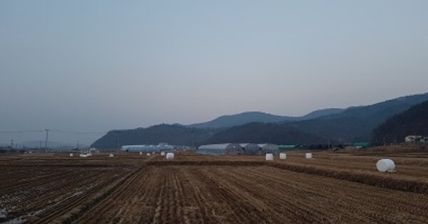 대구광역시 군위군 군위읍 금구리 OOOOO 답 경매 물건 이미지