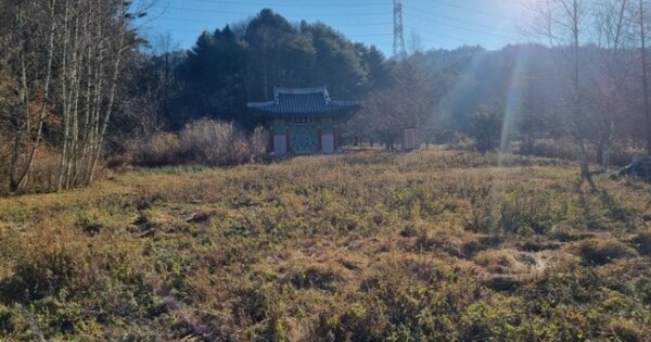 강원특별자치도 평창군 봉평면 진조리 OOOOO 전 경매 물건 이미지