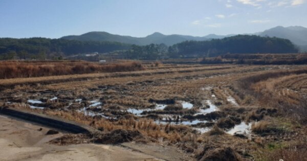 경상북도 경주시 탑동 OOO O OOO 답 경매 물건 이미지