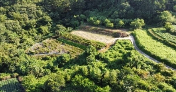 경상북도 김천시 증산면 금곡리 OOOO 답 경매 물건 이미지