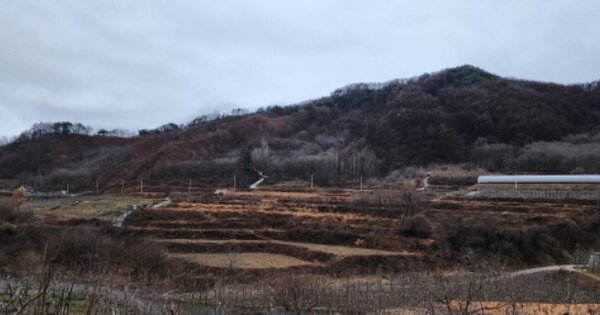 경상북도 김천시 대덕면 덕산리 OO 답 경매 물건 이미지