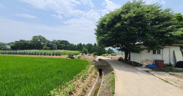충청남도 예산군 삽교읍 수촌리 OOOOO 전 경매 물건 이미지