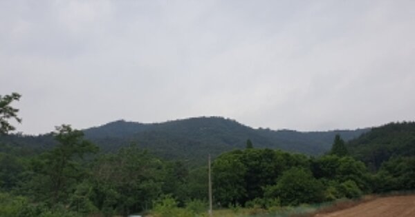 충청남도 홍성군 홍북읍 중계리 OOOOOO O OOO 임야 경매 물건 이미지