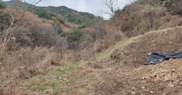 충청남도 예산군 덕산면 상가리 OOOOO 전 경매 물건 이미지