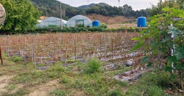 충청남도 청양군 운곡면 영양리 OOOOO O OOO 답 경매 물건 이미지