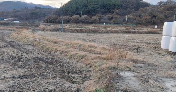충청남도 공주시 정안면 문천리 OOOO O OOO 답 경매 물건 이미지