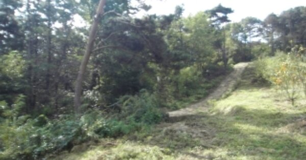 충청남도 논산시 관촉동 OOOOO 임야 경매 물건 이미지