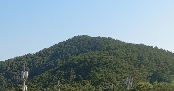 경상남도 통영시 욕지면 동항리 OOOOOO O OOO 임야 경매 물건 이미지
