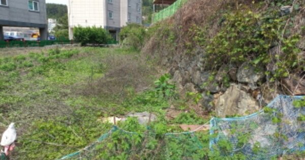 경상남도 거제시 하청면 석포리 OOOOO O OOO 답 경매 물건 이미지