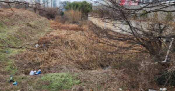 전라북도 익산시 함열읍 와리 OOO 전 경매 물건 이미지
