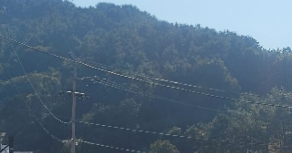 경상남도 통영시 산양읍 풍화리 OOOOOO 임야 경매 물건 이미지