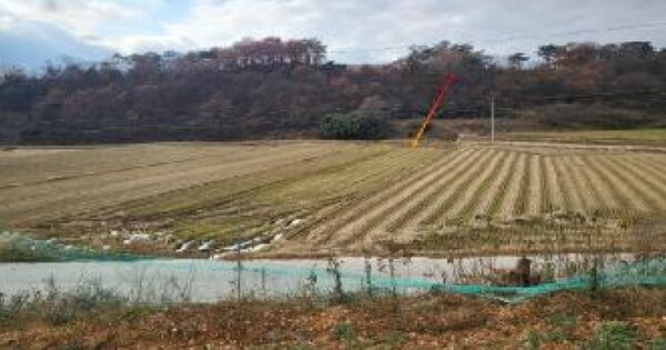 전라북도 고창군 공음면 칠암리 OOOO O OOO 답 경매 물건 이미지