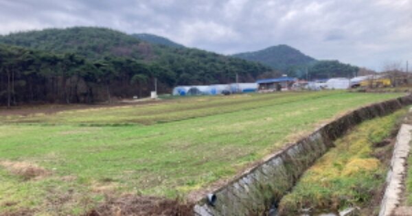 전라북도 부안군 하서면 석상리 OOOOO 전 경매 물건 이미지