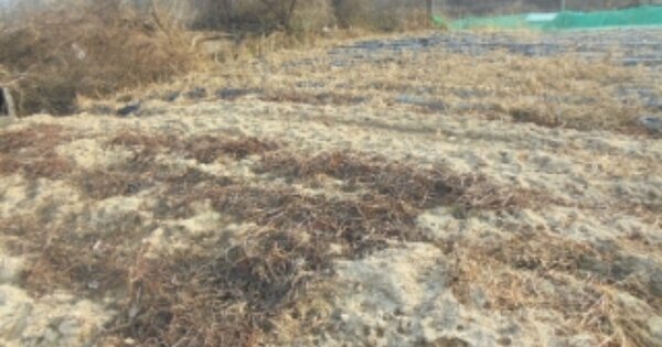 충청북도 충주시 앙성면 돈산리 OO O OOO 전 경매 물건 이미지