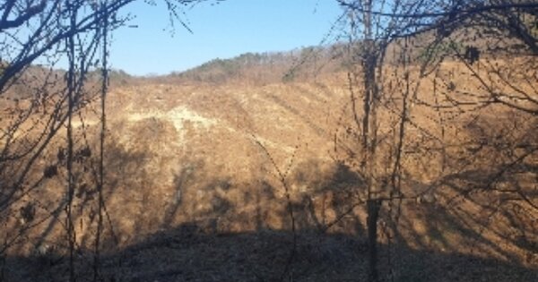 충청북도 충주시 소태면 복탄리 OOO 전 경매 물건 이미지