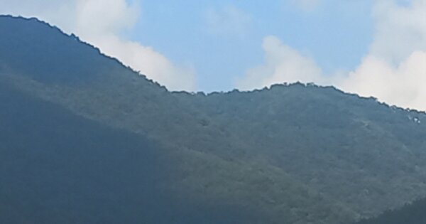 경상남도 진주시 이반성면 장안리 OO 임야 경매 물건 이미지