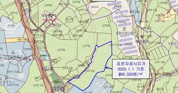 경상북도 포항시 북구 우현동 OOOOO O OOO 임야 경매 물건 이미지