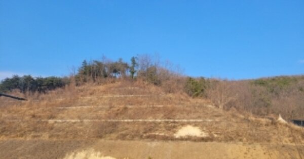 경상북도 포항시 남구 구룡포읍 성동리 OOOOO 임야 경매 물건 이미지