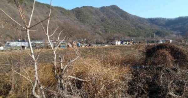 전북특별자치도 완주군 운주면 금당리 OOOOO 답 경매 물건 이미지