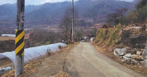 경상북도 성주군 수륜면 보월리 OOO 임야 경매 물건 이미지