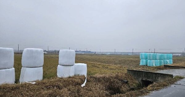경기도 평택시 오성면 창내리 OOOOO 답 경매 물건 이미지