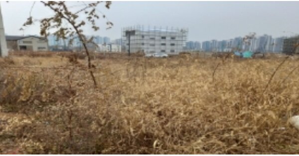 경기도 평택시 고덕동 OOOOOO 대지 경매 물건 이미지