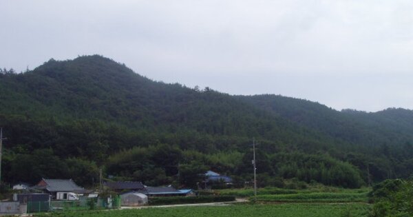 전라남도 해남군 화산면 연정리 OOOO 임야 경매 물건 이미지