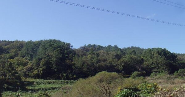 전라남도 해남군 화산면 연정리 OOOOO 임야 경매 물건 이미지