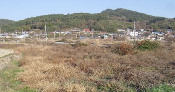 전라남도 완도군 소안면 진산리 OOO O OOO 답 경매 물건 이미지