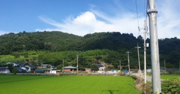 전라남도 순천시 별량면 구룡리 OOOOO 전 경매 물건 이미지