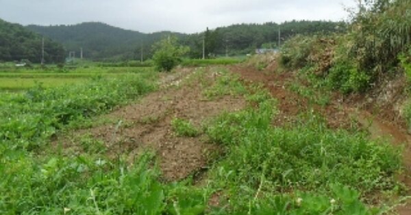 충청남도 태안군 원북면 마산리 OOO O OOO 전 경매 물건 이미지