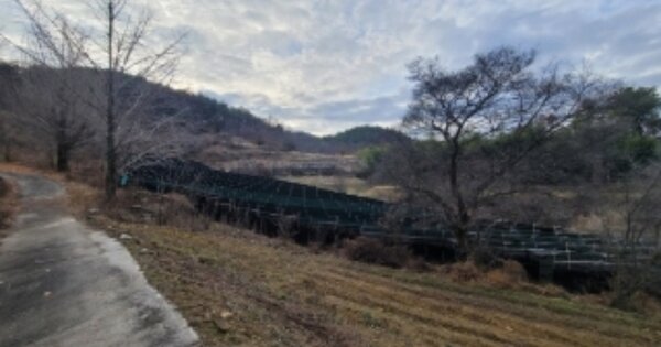 충청북도 보은군 보은읍 길상리 OOOOO 전 경매 물건 이미지