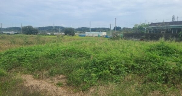 광주광역시 광산구 동산동 OOO O OOO 전 경매 물건 이미지