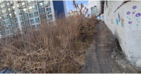 경기도 파주시 금촌동 OOOOOO 임야 경매 물건 이미지