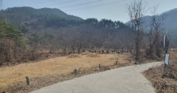 경상남도 의령군 가례면 대천리 OOO 묘지 경매 물건 이미지