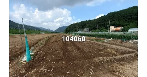 부산광역시 기장군 철마면 임기리 OOO 답 경매 물건 이미지