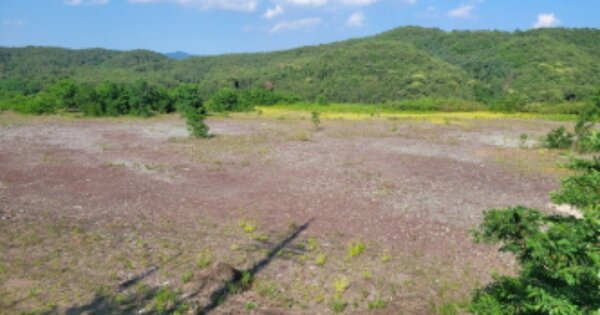 울산광역시 울주군 두서면 활천리 OOOOO 공장용지 경매 물건 이미지