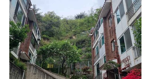 서울특별시 종로구 신영동 OO 임야 경매 물건 이미지
