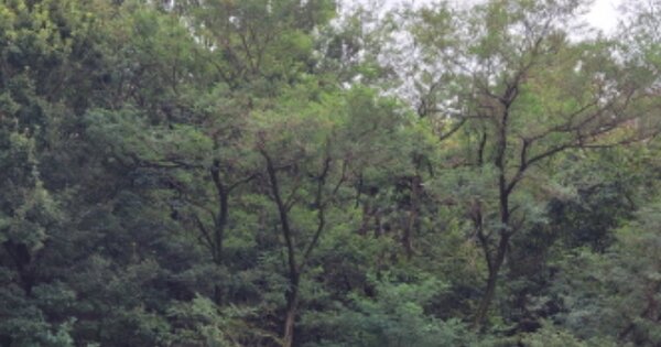 울산광역시 울주군 온산읍 화산리 OOOOOO 임야 경매 물건 이미지