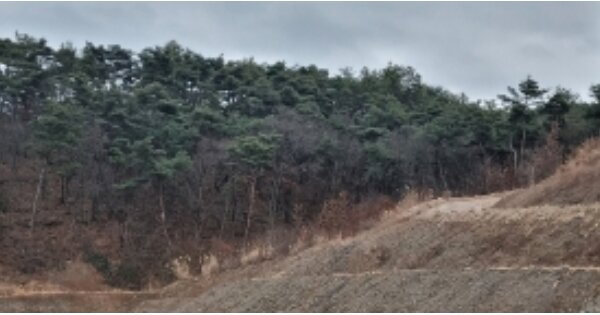 전라북도 남원시 고죽동 OOO 임야 경매 물건 이미지